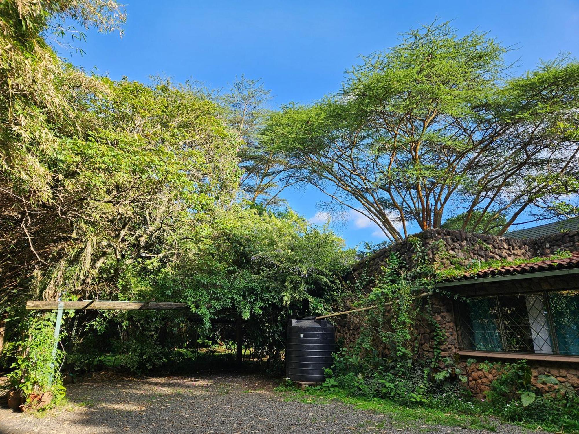 Mad Vervet Nairobi Backpackers Hostel Exterior photo